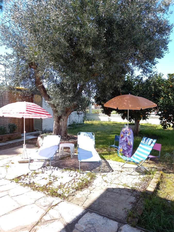 Hébergement de vacances Lemon Garden *