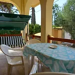 Lemon Garden