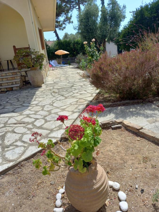 Lemon Garden